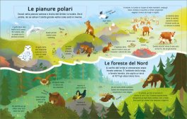 Viaggio in Artide — Libro - 5