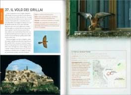 Viaggio nell'Italia Selvaggia — Libro - 3