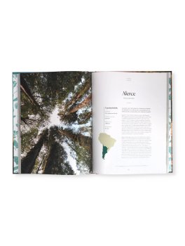 Viaggio tra gli Alberi Più Spettacolari del Mondo — Libro - 2