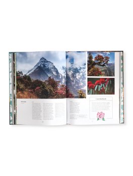 Viaggio tra gli Alberi Più Spettacolari del Mondo — Libro - 3
