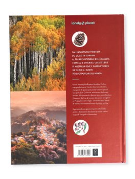Viaggio tra gli Alberi Più Spettacolari del Mondo — Libro - 4