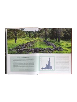 Vichinghi — Libro - 2