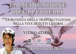 Video Corso - La Meditazione degli Uccelli — Digitale - 1