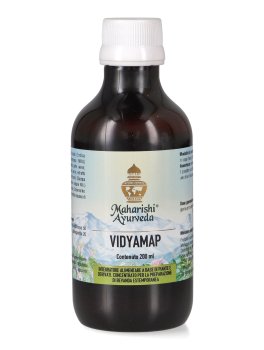 Vidyamap - 1