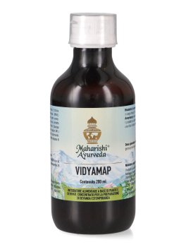 Vidyamap - 4