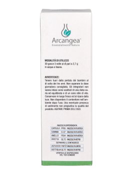 Viscangea - Miscela di Macerati - 6