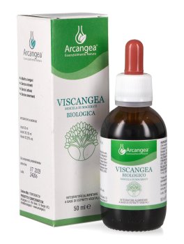 Viscangea - Miscela di Macerati - 1