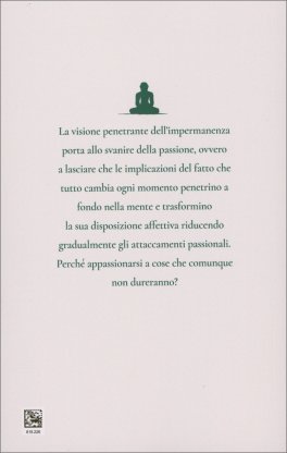 Visione Penetrante — Libro - 2