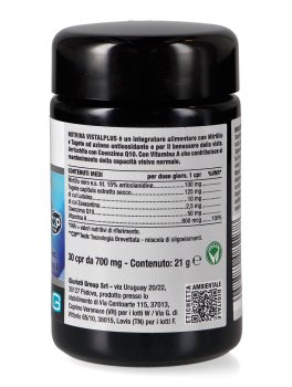 Vistalplus - 2