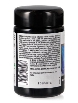 Vistalplus - 3