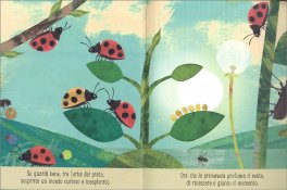 Vita — Libro - 3