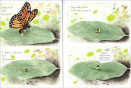 Vita da Farfalla — Libro - 3