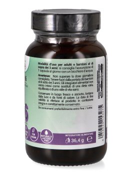 Vitamina B6 - 2