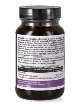 Vitamina B6 - 3
