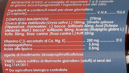 Vitamina C 250 mg Multi Ascorbato - 3