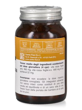 Vite Rossa Plus - Capsule - 2