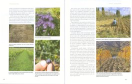 Viticoltura Biodinamica — Libro - 3