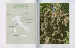 Viticoltura Biodinamica — Libro - 3
