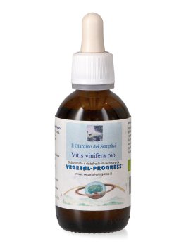 Vitis Vinifera - Vite Rossa Bio - Estratto Idrogliceroalcolico - 1