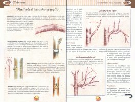 Vivere e Lavorare in Campagna — Libro - 3