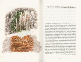 Voci dal Bosco — Libro - 3