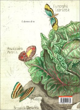 Voglio il Sole — Libro - 2
