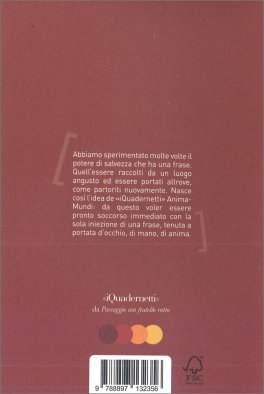 Quadernino "Vola. Adesso. Basta Fingere quel Rasoterra" — Quaderno - 2