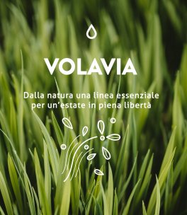 Volavia - Cerotto Diffusore con Oli Essenziali - 4