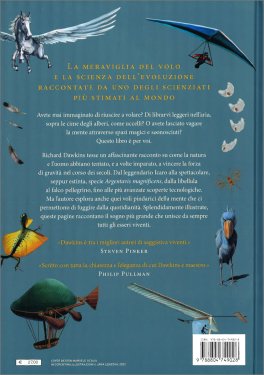 Voli di Fantasia — Libro - 2