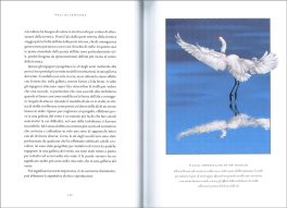 Voli di Fantasia — Libro - 4