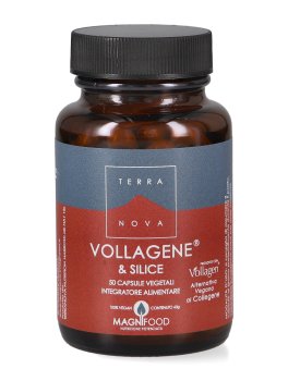 Vollagene® e Silice - 1