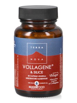 Vollagene E Silice - 1