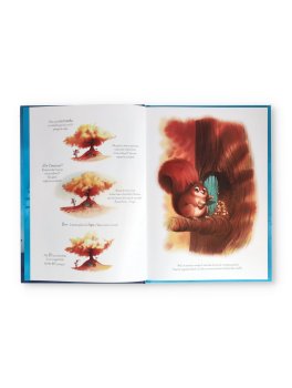 Volpe, Marcello e le Galline — Libro - 2
