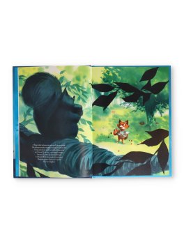 Volpe, Marcello e le Galline — Libro - 3
