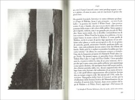 Walden Ovvero Vita nei Boschi — Libro - 3