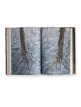 Walden Ovvero Vita nei Boschi — Libro - 3