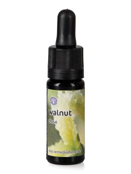Walnut - Dose - 1