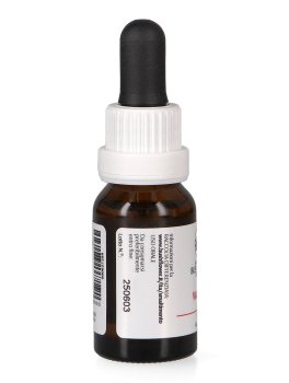 Waratah - Essenza Floreale Australiana Singola - 3