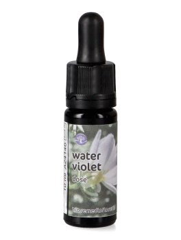 Water Violet - Dose - 1