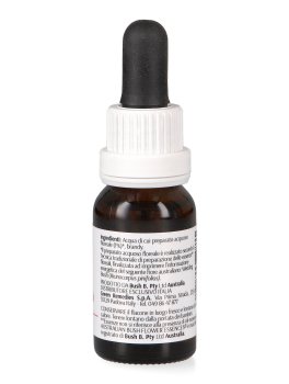 Wedding Bush - Essenza Floreale Australiana Singola - 2