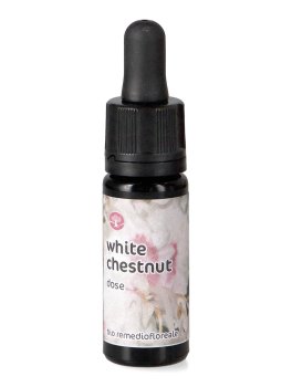 White Chestnut - Dose - 1