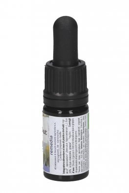 White Chestnut - Soluzione Madre - 2