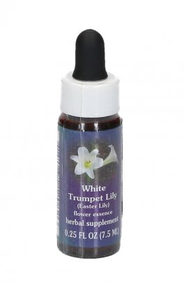 White Trumpet Lily - Fiori californiani - 1