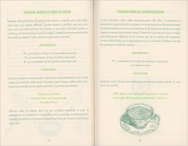 Wicca - Incantesimi con le Erbe — Libro - 5