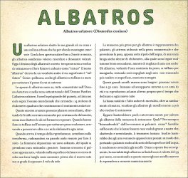 Wild — Libro - 3