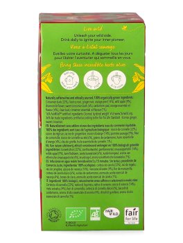 Wild Apple & Cinnamon - Tisana Pukka Bio - 2