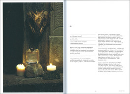 Wild Mixology — Libro - 3
