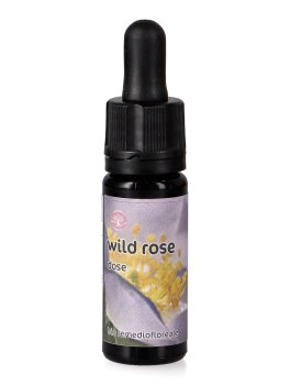 Wild Rose - Dose - 1