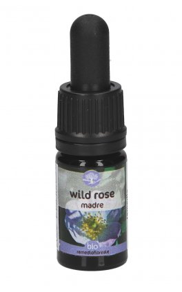 Wild Rose - Soluzione Madre - 1
