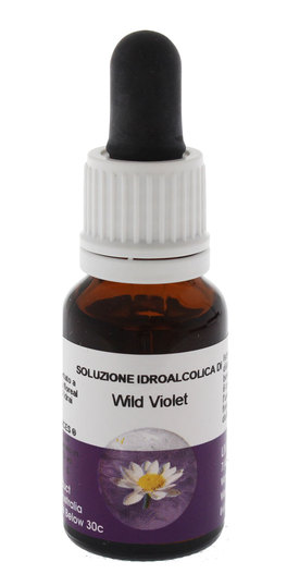 Wild Violet - Fiori australiani - 1